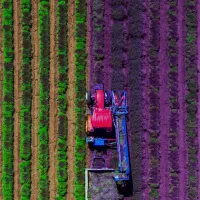 اره برقی اشتیل ۲۳۰