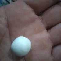 سنگ آسیاب|کلکسیون اشیاء عتیقه|شیراز, زیباشهر|دیوار