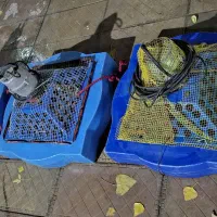 اسپلش پرورش ماهی|ماهی|چهارباغ, |دیوار