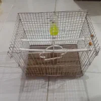 قفس پرنده|لوازم جانبی حیوانات|مشهد, ابوذر|دیوار