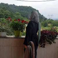 اجاره سوئیت ویو جنگل تراس بزرگ|اجارهٔ کوتاه‌مدت آپارتمان و سوئیت|قائم‌شهر, |دیوار