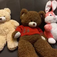 عروسک ۲عدد خرس و ۱‌عدد خرگوش