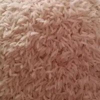 برنج هاشمی آستانه اشرفیه بهترین کیفیت