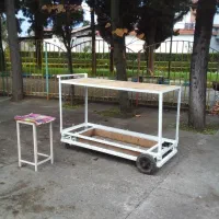 گاری فنردار