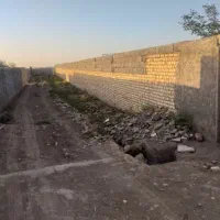 فروش زمین ۱۰۰ متری در جاده قمصر دشت صفی آباد|فروش زمین و ملک کلنگی|کاشان, صفی آباد|دیوار