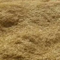 کاه دیم خرمنکوب