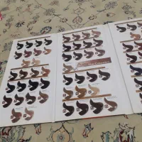 کاتالوگ رنگ مو