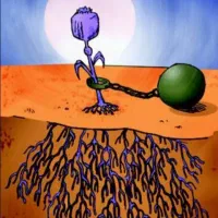 ترک اعتیاد بدون درد و خماری