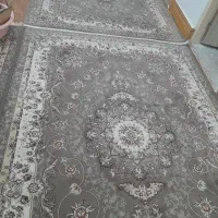 دو تا فرش ۶ متری گردویی  ۷۰۰ شانه