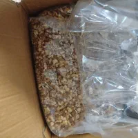 گردو|خوردنی و آشامیدنی|شوشتر, |دیوار