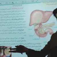 انتخاب رشته، تدریس زیست و زبان توسط دبیر رسمی|خدمات آموزشی|قم, بلوار امین و ساحلی|دیوار