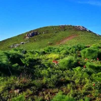 فروش-زمین-مسکونی