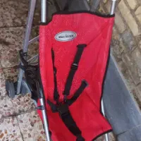 کالسکه عصایی