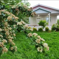 اجاره ویلای روستایی با دو هزار متر حیاط اختصاصی