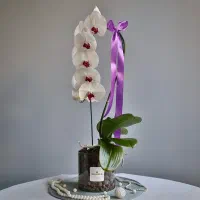 تحویل دسته گل کمتر از ۹۰ دقیقه به تمام نقاط|گل و گیاه طبیعی|تهران, فرمانیه|دیوار