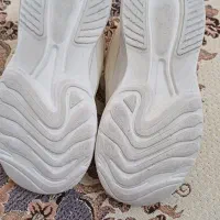 کتونی اسپرت|کیف، کفش، کمربند|باغستان, |دیوار