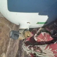 گپسول ۱۰۰لیتری cng|قطعات یدکی و لوازم جانبی|طبس, |دیوار