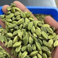 هل اکبر بنفش|عمده‌فروشی|اهواز, کمپلو شمالی|دیوار