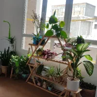 جا گلدانی. استند گل و گلدان