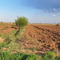 زمین کشاورزی نیم هکتار بعد از رادکان