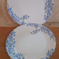 آرکوپال آلیا|ظروف سرو و پذیرایی|قنوات, |دیوار