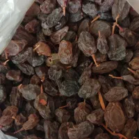 کشمش