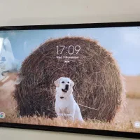 تبلت TAB A 10.1 سامسونگ|تبلت|شهرکرد, |دیوار