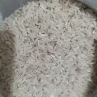 برنج محلی طارم هاشمی