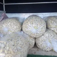 بادام زمینی درجه یک