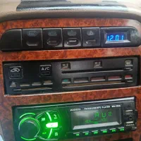 دوتا توله نژاددار پیداکردم طرفای درزم اشناباد لور