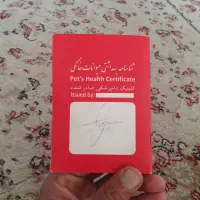 سگ خانگی|سگ|کرمانشاه, |دیوار