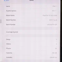 iPad Pro M4 13|تبلت|همدان, |دیوار