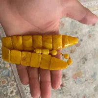 تسبیح زازا روسی