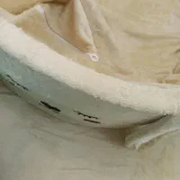 استخر توپ
