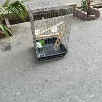 قفس طوطی سانان و غیره|لوازم جانبی حیوانات|تهران, امام زاده عبدالله|دیوار