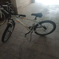 دوچرخه 26ویوا
