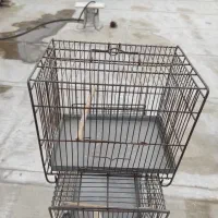 قفس پرنده|لوازم جانبی حیوانات|تهران, زیبادشت|دیوار