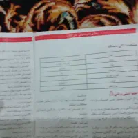 تخریب کن برقی|ماشین‌آلات صنعتی|رشت, جانبازان|دیوار