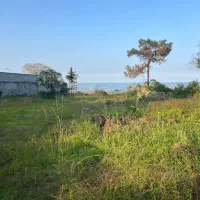 فروش ۲۵۰۰متر زمین ساحلی(جاده به ساحل)|فروش زمین و ملک کلنگی|نشتارود, |دیوار