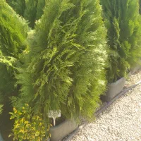 استخدام نگهبان ونظافتچی  مجتمع مسکونی ش برف فروشان