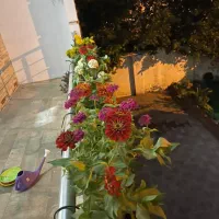 ۱۰۰ متر خانه آپارتمانی رهن و اجاره ارا|اجارهٔ آپارتمان|سلمان‌شهر, |دیوار