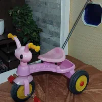 ۳ چرخه مورچه ای