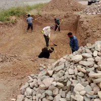 فروش قطعه زمین تبدیل به گلخانه مرغداری دامداری