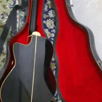 گیتار کلاسیک|گیتار، بیس، امپلیفایر|زاهدان, |دیوار