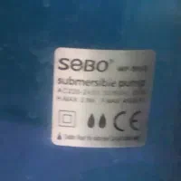 آکواریوم مخصوص خاص پسندان