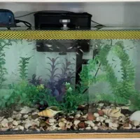 آکواریوم شیشه خم