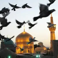 کاروان مشهد ویژه ایام ولادت اقا امام رضا ع