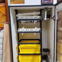 دستگاه جوجه کشی