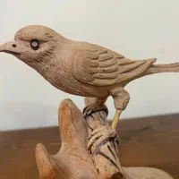 مجسمه قناری نفیس|مجسمه، تندیس، ماکت|شیراز, نشاط|دیوار