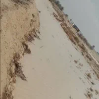 گندم آفتاب دولتی از سال قبل سالم سالم